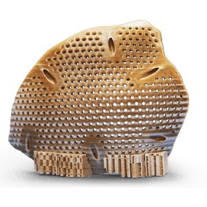 Creatbot_PEEK-300_08